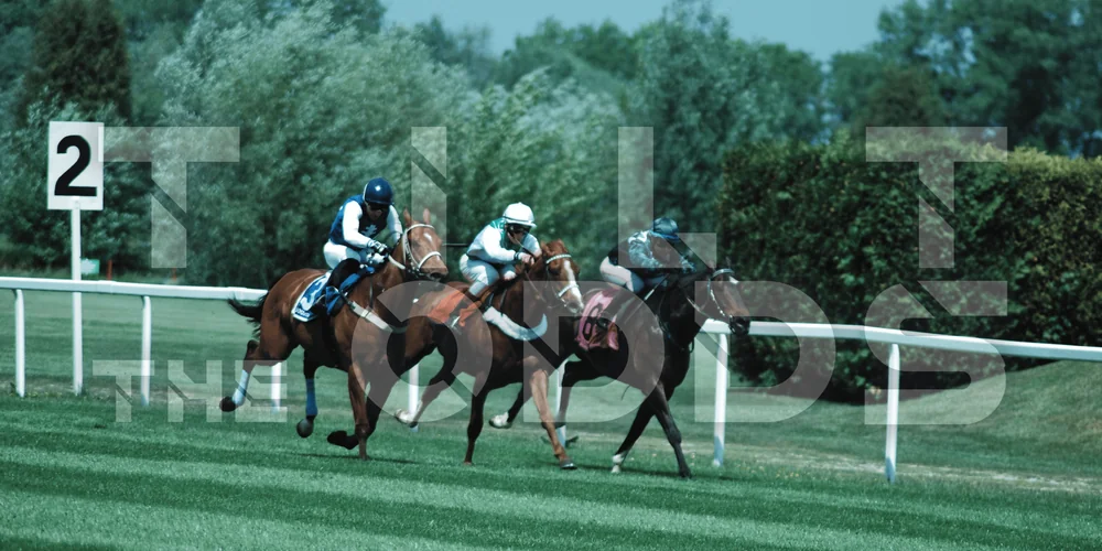 Illustration of UK and Ireland horse racing fixtures, daily meetings and major festival dates